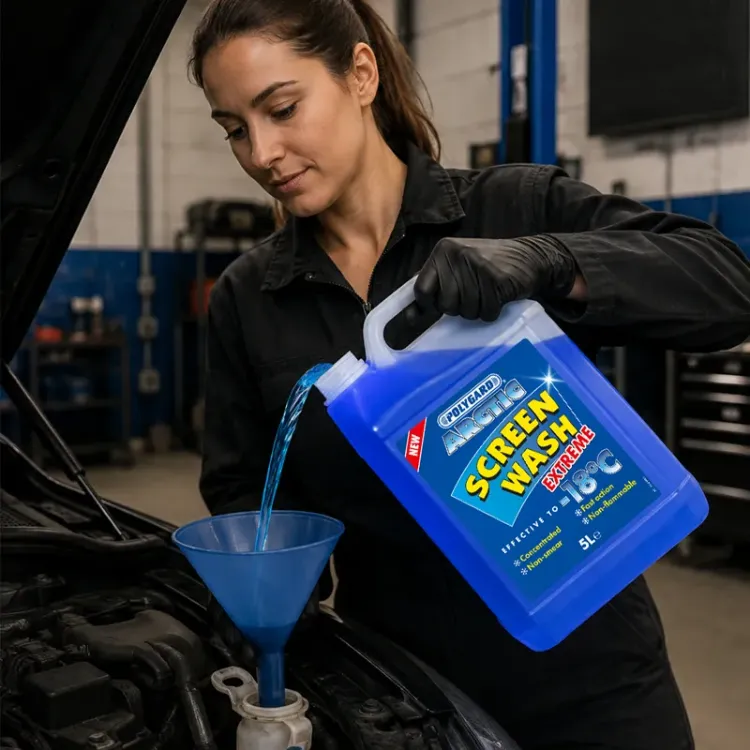 Polygard Arctic Screenwash Extreme -18°C 5 Litre - EURO